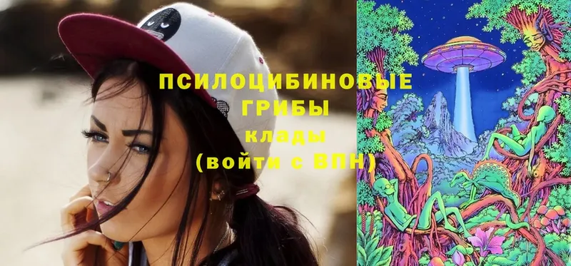 Галлюциногенные грибы Psilocybine cubensis  Коломна 